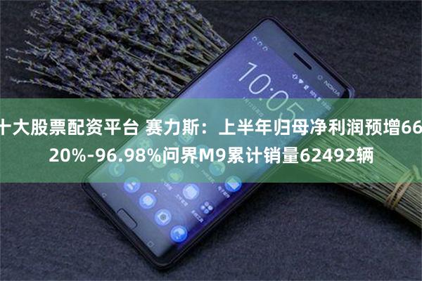 十大股票配资平台 赛力斯：上半年归母净利润预增66.20%-96.98%问界M9累计销量62492辆