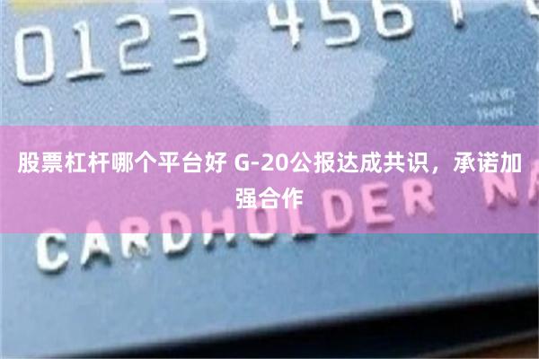 股票杠杆哪个平台好 G-20公报达成共识，承诺加强合作