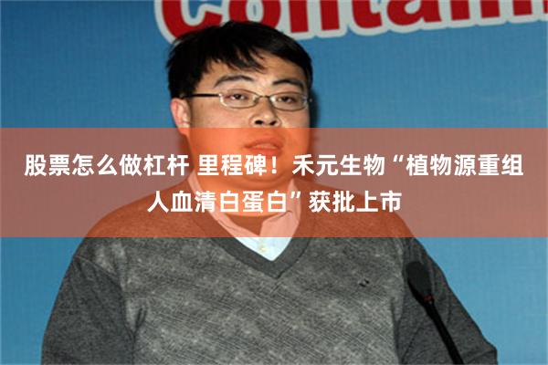 股票怎么做杠杆 里程碑！禾元生物“植物源重组人血清白蛋白”获批上市