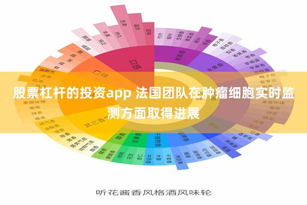 股票杠杆的投资app 法国团队在肿瘤细胞实时监测方面取得进展