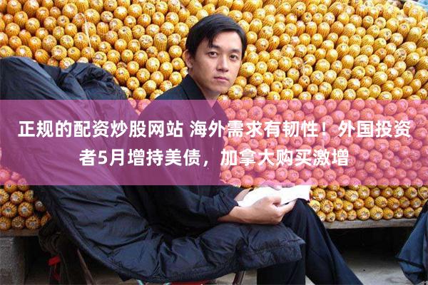 正规的配资炒股网站 海外需求有韧性！外国投资者5月增持美债，加拿大购买激增