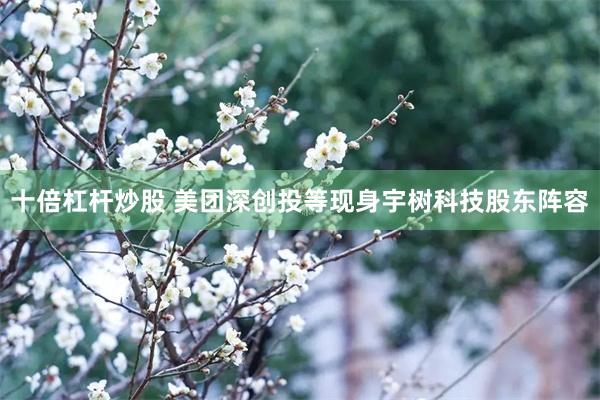 十倍杠杆炒股 美团深创投等现身宇树科技股东阵容