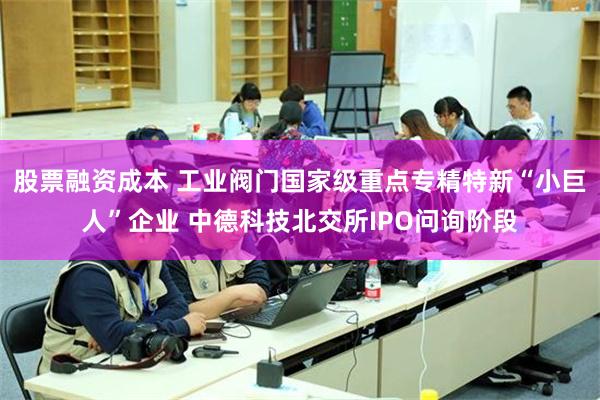 股票融资成本 工业阀门国家级重点专精特新“小巨人”企业 中德科技北交所IPO问询阶段