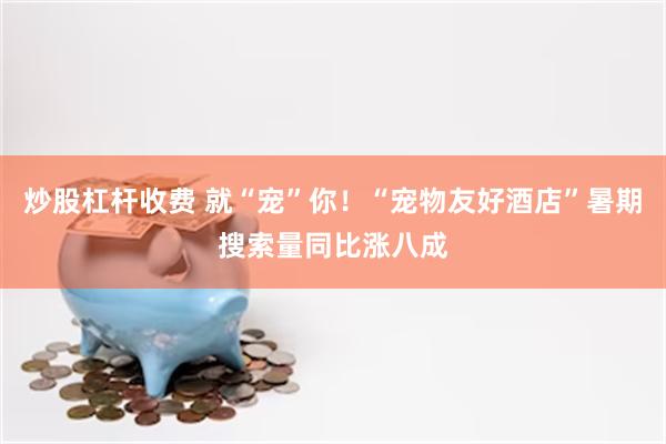 炒股杠杆收费 就“宠”你！“宠物友好酒店”暑期搜索量同比涨八成