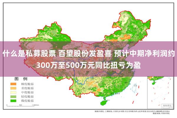 什么是私募股票 百望股份发盈喜 预计中期净利润约300万至500万元同比扭亏为盈