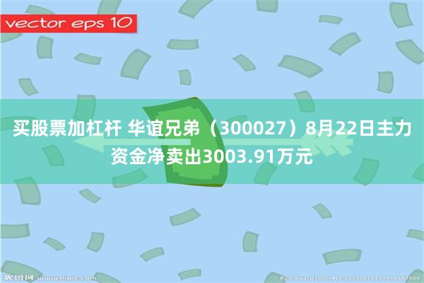 买股票加杠杆 华谊兄弟（300027）8月22日主力资金净卖出3003.91万元