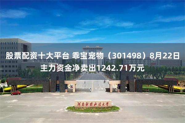 股票配资十大平台 乖宝宠物（301498）8月22日主力资金净卖出1242.71万元