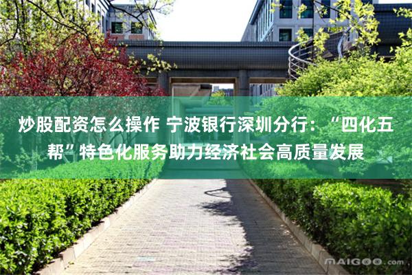 炒股配资怎么操作 宁波银行深圳分行：“四化五帮”特色化服务助力经济社会高质量发展