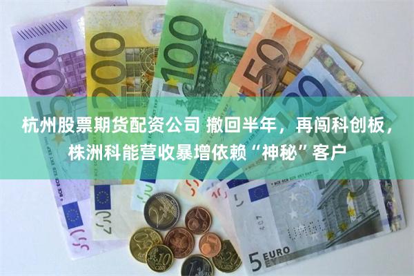杭州股票期货配资公司 撤回半年,再闯科创板,株洲科能营收暴增依赖“神秘”客户