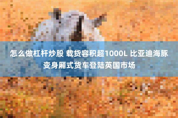 怎么做杠杆炒股 载货容积超1000L 比亚迪海豚变身厢式货车登陆英国市场