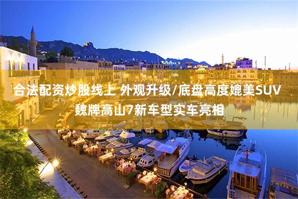 合法配资炒股线上 外观升级/底盘高度媲美SUV 魏牌高山7新车型实车亮相