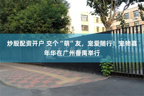 炒股配资开户 交个“萌”友，宠爱随行！宠物嘉年华在广州番禺举行