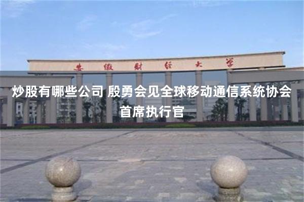 炒股有哪些公司 殷勇会见全球移动通信系统协会首席执行官