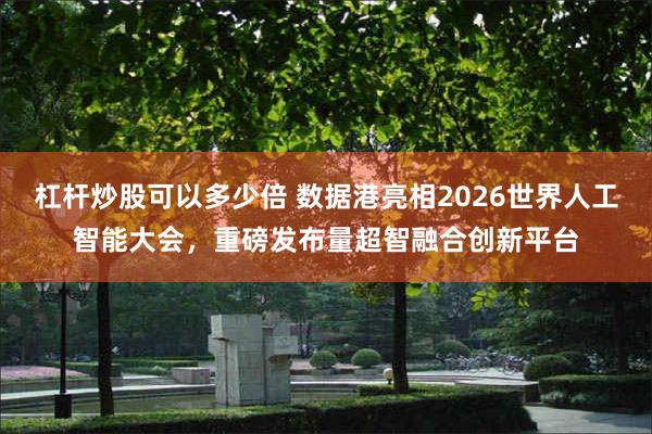 杠杆炒股可以多少倍 数据港亮相2026世界人工智能大会，重磅发布量超智融合创新平台