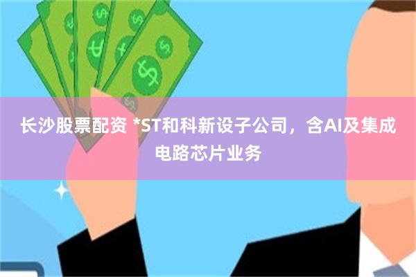 长沙股票配资 *ST和科新设子公司，含AI及集成电路芯片业务