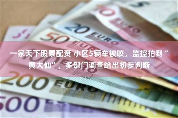 一家天下股票配资 小区5辆车被咬，监控拍到“黄大仙”，多部门调查给出初步判断