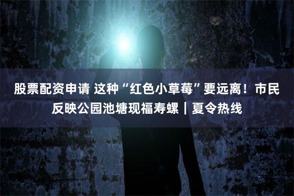 股票配资申请 这种“红色小草莓”要远离！市民反映公园池塘现福寿螺｜夏令热线