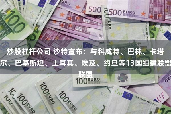 炒股杠杆公司 沙特宣布：与科威特、巴林、卡塔尔、巴基斯坦、土耳其、埃及、约旦等13国组建联盟