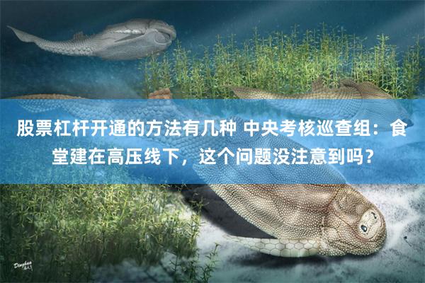 股票杠杆开通的方法有几种 中央考核巡查组：食堂建在高压线下，这个问题没注意到吗？