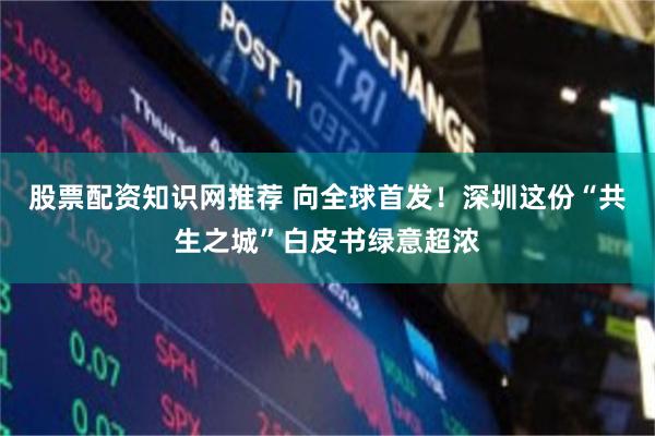 股票配资知识网推荐 向全球首发！深圳这份“共生之城”白皮书绿意超浓