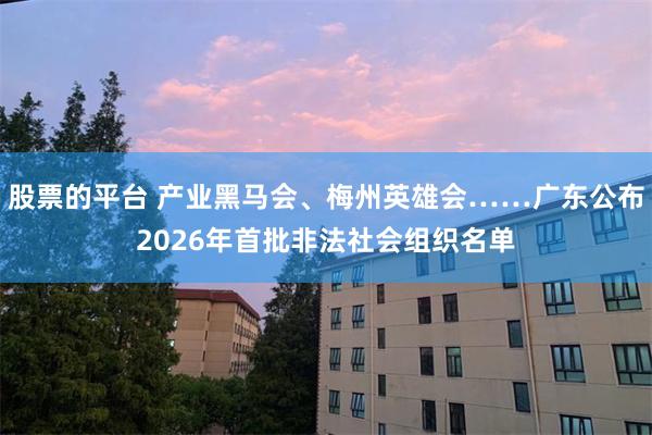 股票的平台 产业黑马会、梅州英雄会……广东公布2026年首批非法社会组织名单