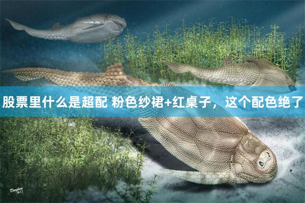 股票里什么是超配 粉色纱裙+红桌子，这个配色绝了