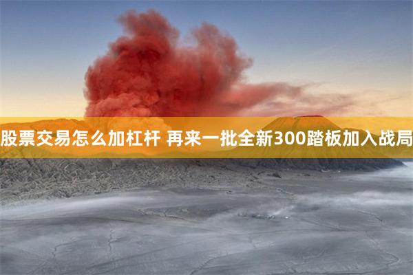 股票交易怎么加杠杆 再来一批全新300踏板加入战局