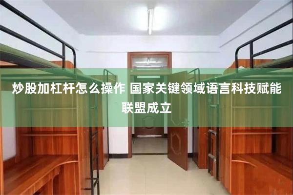 炒股加杠杆怎么操作 国家关键领域语言科技赋能联盟成立