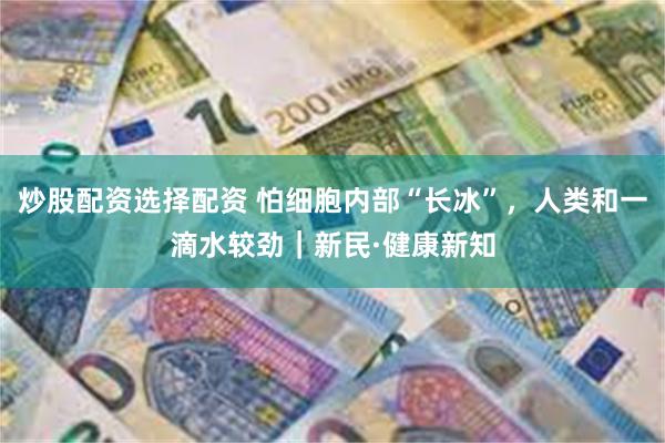 炒股配资选择配资 怕细胞内部“长冰”,人类和一滴水较劲|新民·健康新知