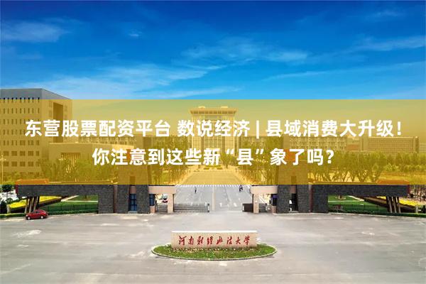 东营股票配资平台 数说经济 | 县域消费大升级！你注意到这些新“县”象了吗？