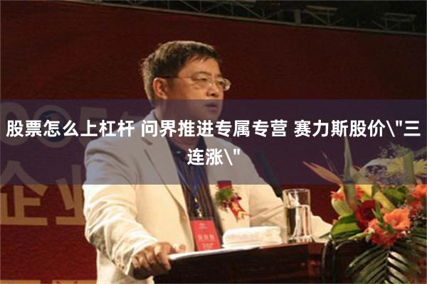 股票怎么上杠杆 问界推进专属专营 赛力斯股价