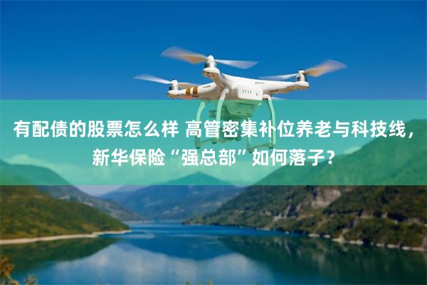 有配债的股票怎么样 高管密集补位养老与科技线，新华保险“强总部”如何落子？