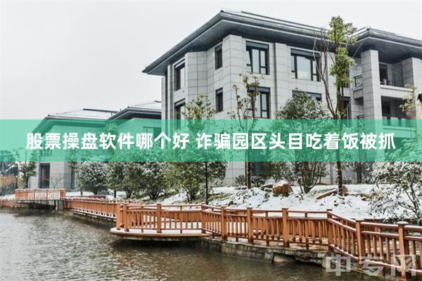 股票操盘软件哪个好 诈骗园区头目吃着饭被抓